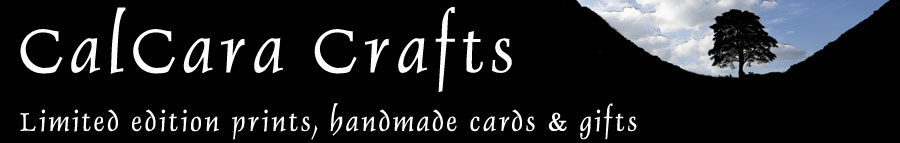 CalCara Banner