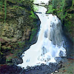 Bellingham