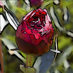 Garden Flowers Cards - Red