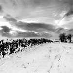 Snow Scenes