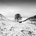Sycamore Gap