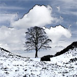 Winter on the Wall