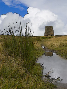 Dryburn Moor - Allendale