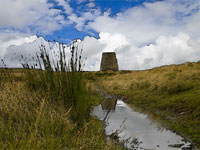 Dryburn Moor