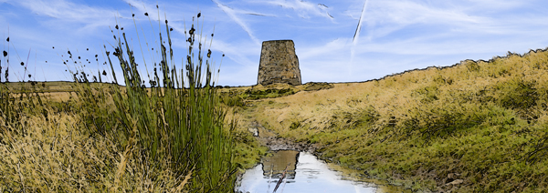 Dryburn Moor