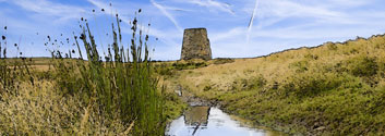 Dryburn Moor