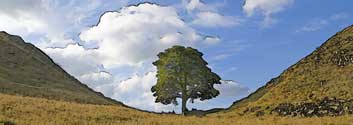 Sycamore Gap