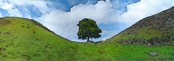 Sycamore Gap