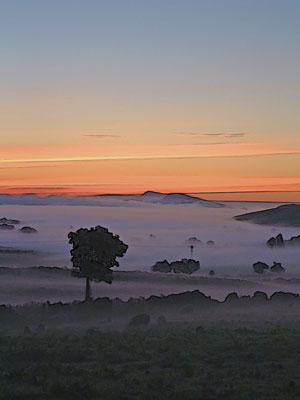 Tyne Valley - Sunrise & Mist