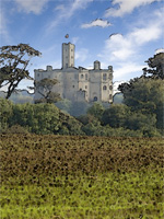 Warkworth Castle