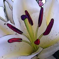 White Lily