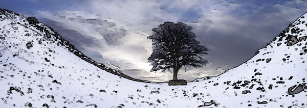 Winter at Sycamore Gap