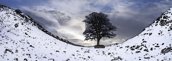 Winter at Sycamore Gap